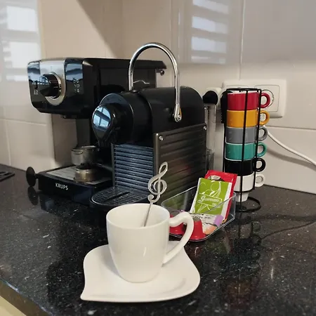 Groovy Ponta Delgada (Sao Miguel)