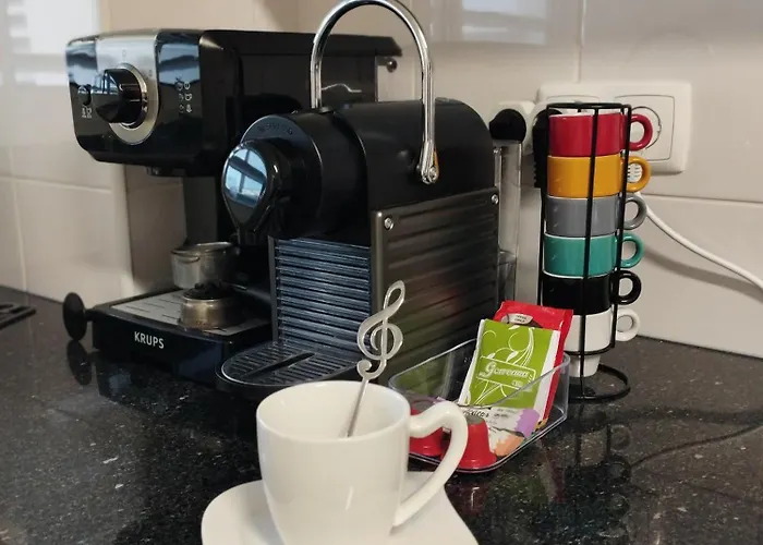 Groovy Ponta Delgada